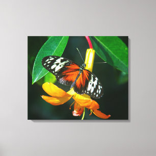 Stretched Canvas Print Leinwanddruck