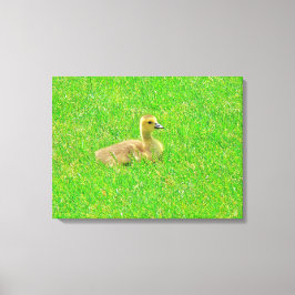 Stretched Canvas Print Leinwanddruck