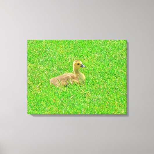 Stretched Canvas Print Leinwanddruck (Vorderseite)