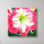 Stretched Canvas Print Leinwanddruck (Vorderseite)