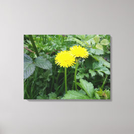 Stretched Canvas Print Leinwanddruck