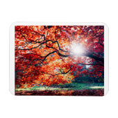 Stretched Canvas Print Magnet (Horizontal)