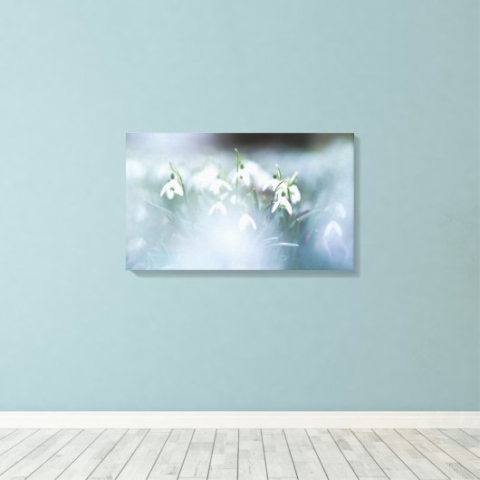 Stretched Canvas Print - Snowdrops Leinwanddruck (Insitu (Holzboden))