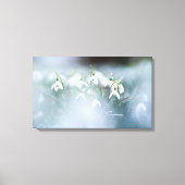Stretched Canvas Print - Snowdrops Leinwanddruck (Vorderseite)