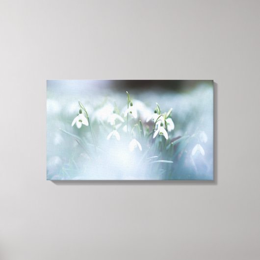 Stretched Canvas Print - Snowdrops Leinwanddruck (Vorderseite)