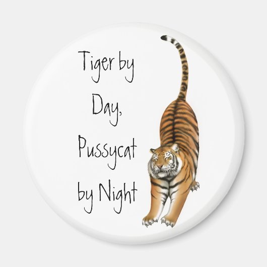 Stretching Bengalisch Tiger Magnet (Vorne)