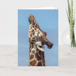 Stretching Giraffe Card Karte