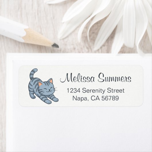 Stretching Grey Tabby Cat (Insitu)