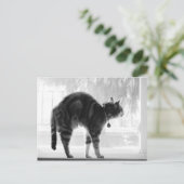 Stretching Indigo B+W Postkarte (Stehend Vorderseite)