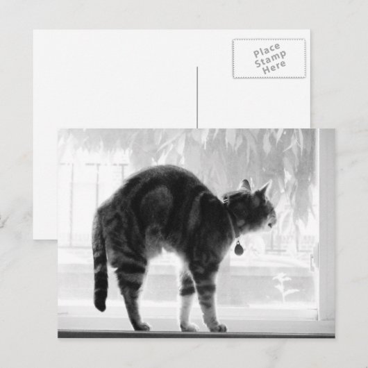 Stretching Indigo B+W Postkarte (Vorne/Hinten)