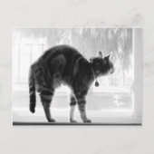 Stretching Indigo B+W Postkarte (Vorderseite)