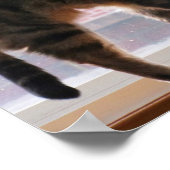 Stretching Indigo Poster (Ecke)