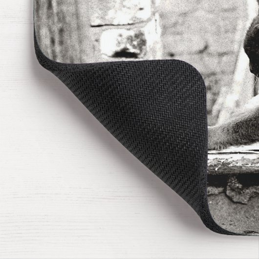 Stretchkatze Mousepad (Ecke)