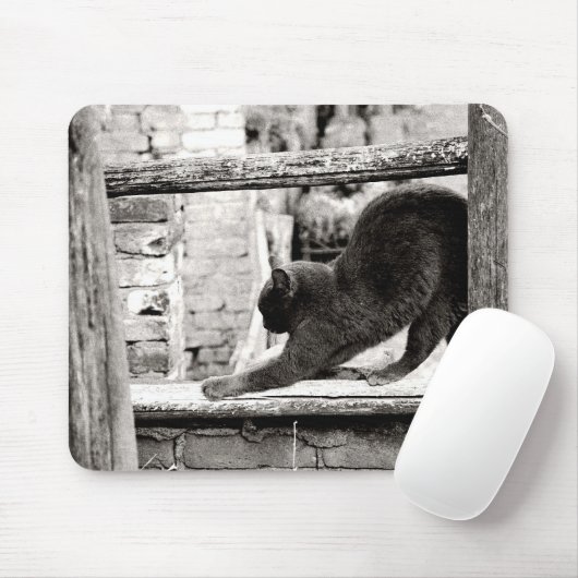 Stretchkatze Mousepad (Mit Mouse)