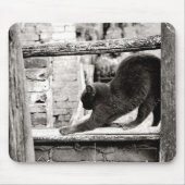 Stretchkatze Mousepad (Vorne)