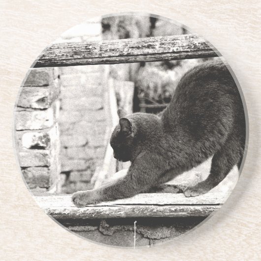 Stretchkatze Untersetzer (Vorne)