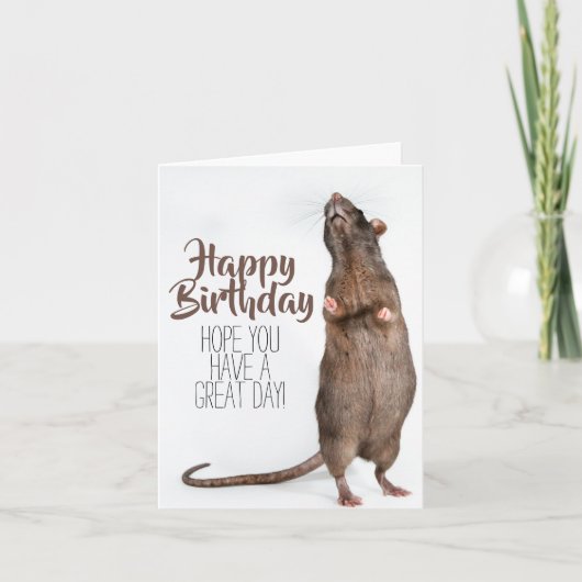 Stretchy Rat Birthday Card Karte (Vorderseite)