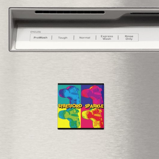 STRETFORD SPARKLE - KÜHLSCHRANKMAGNET (In Situ (Geschirrspüler))