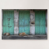 Streunende Hunde vor schmutzigen grünen Türen Puzzle (Horizontal)
