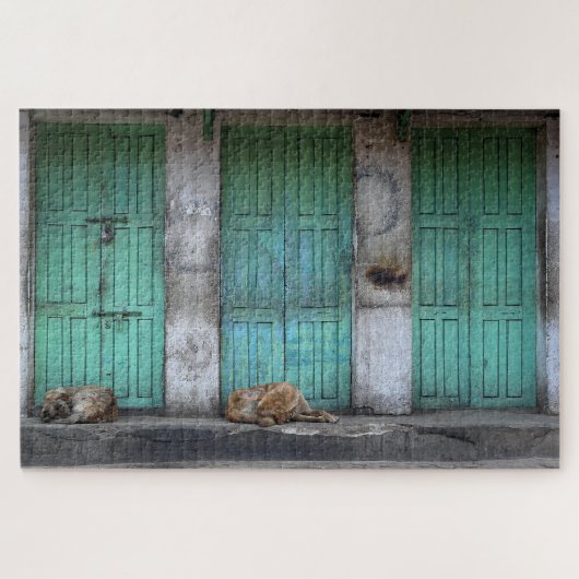 Streunende Hunde vor schmutzigen grünen Türen Puzzle (Horizontal)