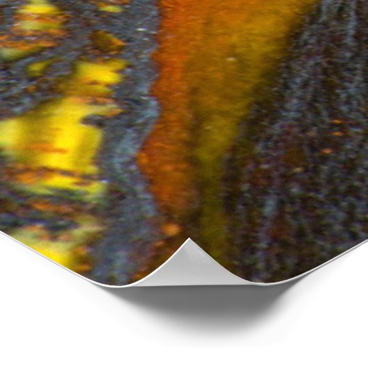 Strickaustralisches Tiger Eye Poster (Ecke)