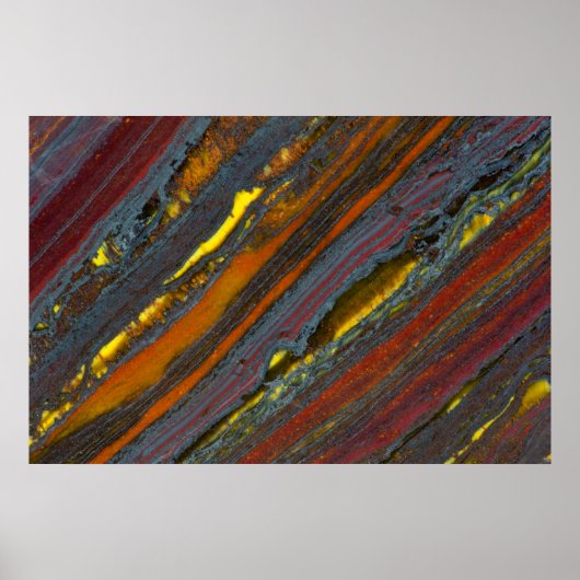 Strickaustralisches Tiger Eye Poster (Vorne)