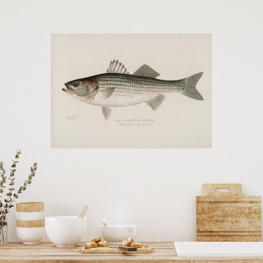 Strickbarsch Vintage Kunst Poster (Küche)