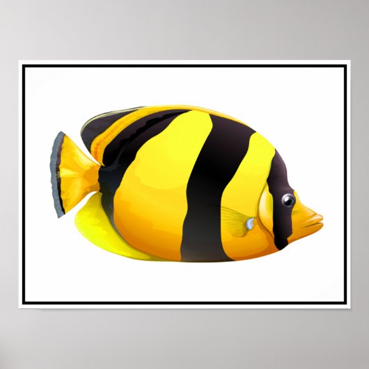 Strickfisch-Poster Poster (Vorne)