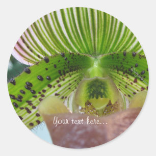 Strickgrüner Slipper Orchid-Umschlag Aufkleber