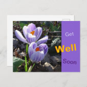 Strickte Crocusses werden bald gut auf Postkarte (Vorne/Hinten)