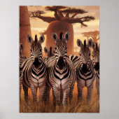 Strickte Einheit: Zebras Stehend zusammen Poster (Vorne)