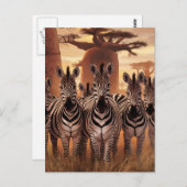 Strickte Einheit: Zebras Stehend zusammen Postkarte (Vorne/Hinten)