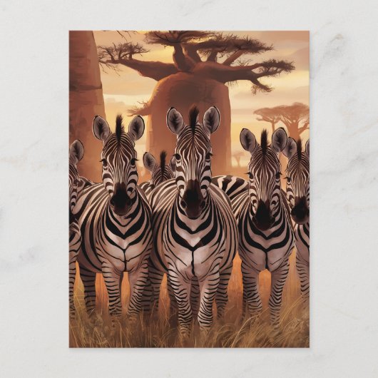Strickte Einheit: Zebras Stehend zusammen Postkarte (Vorderseite)