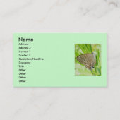Strickte Hairstreak-Visitenkarte Visitenkarte (Vorderseite)