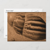 Strickte Muschel Postkarte (Vorne/Hinten)