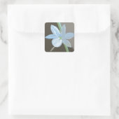 Strickte Pflanze Blossom Quadratischer Aufkleber (Tasche)
