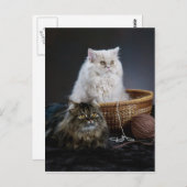 Strickwolle lustige Geburtstagsfurry Perserkatze Postkarte (Vorne/Hinten)