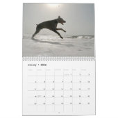 Strictly Dobermans Calendar 2026 Kalender (Jan 2026)