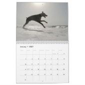 Strictly Dobermans Calendar 2026 Kalender (Jan 2027)