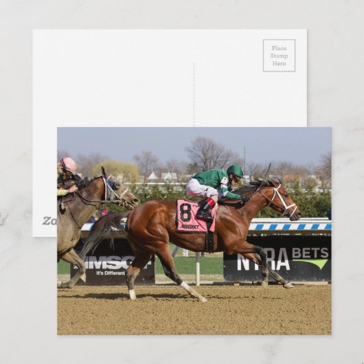 Stride for Stride Postkarte (Vorne/Hinten)