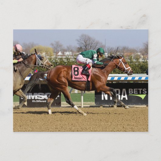 Stride for Stride Postkarte (Vorderseite)