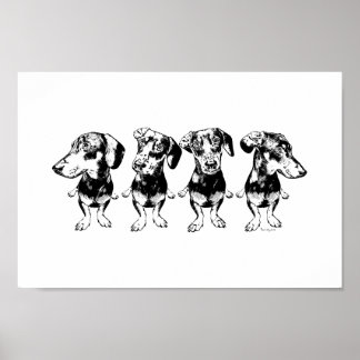 'Strike a Pose Dex' Flippy Ear Dex Art Print Poster