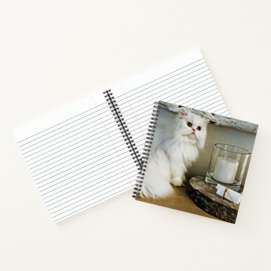 Strike ein Pose-Notebook Notizblock (Innenseite)