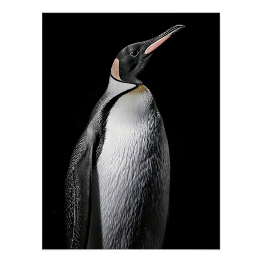 Striking High Contrast Emperor Penguin Fine Art Poster (Vorderseite)