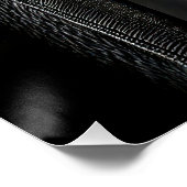 Striking High Contrast Emperor Penguin Fine Art Poster (Ecke)