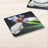 Strikter Iris Party Untersetzer (angewinkelt)
