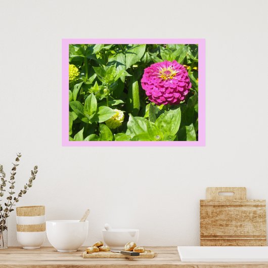 Strikter Rosa Zinnia Poster (Küche)