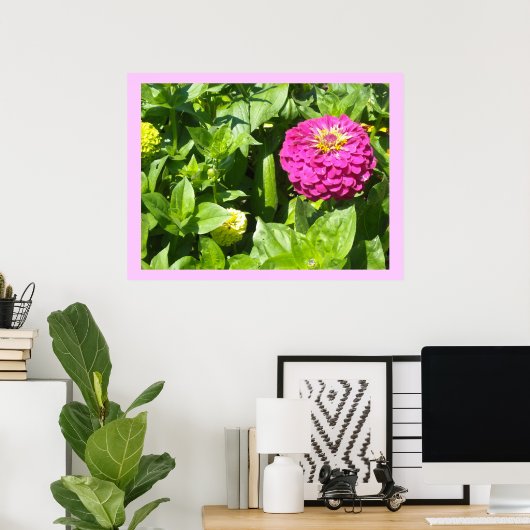 Strikter Rosa Zinnia Poster (Heimbüro)