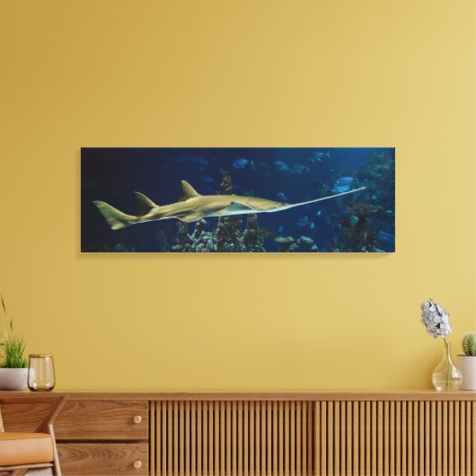 Strikter Sawfish Leinwanddruck (Insitu (Wohnzimmer))
