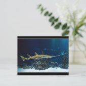Strikter Sawfish Postkarte (Stehend Vorderseite)